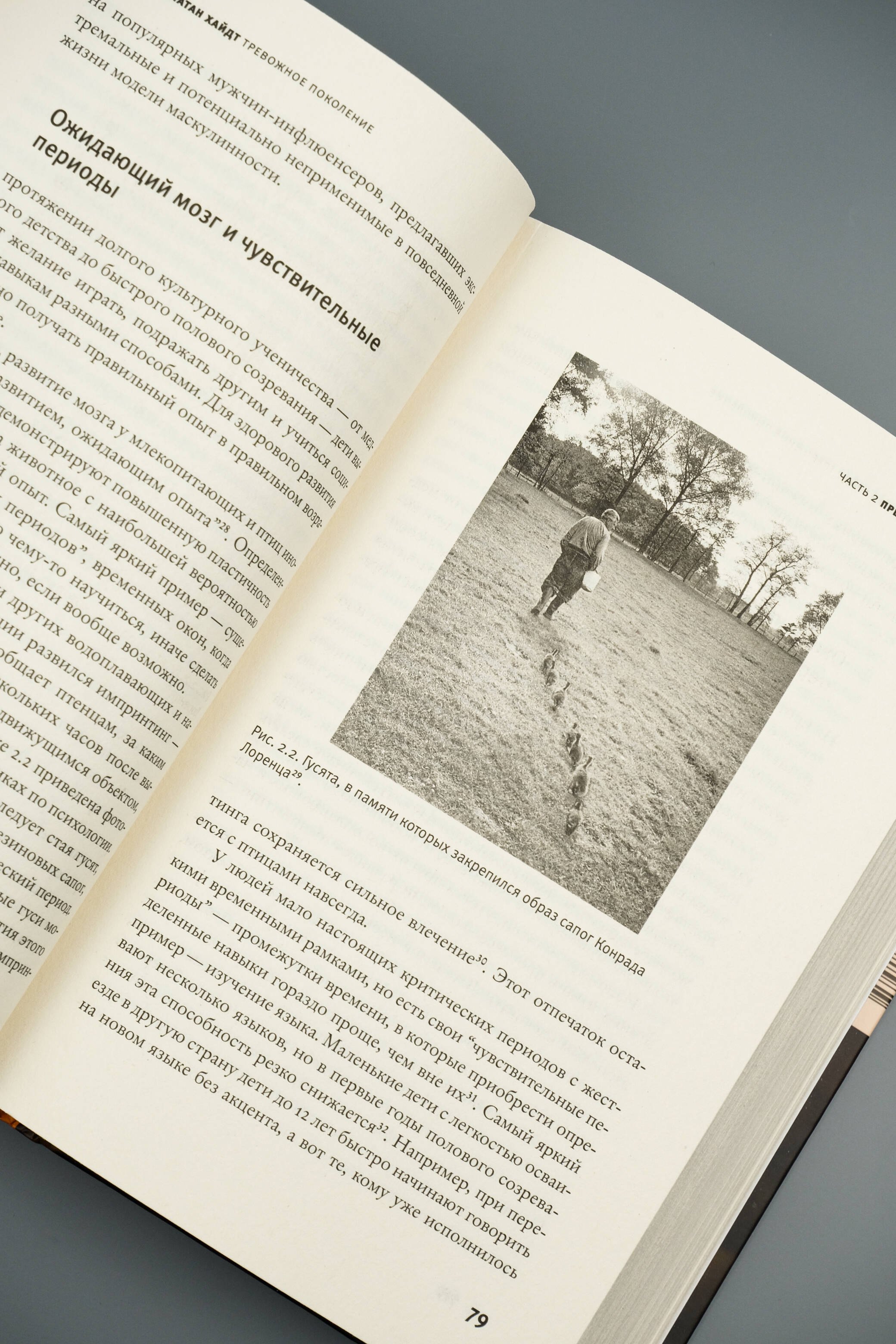 Изображение бумажной книги