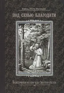 Под сенью благодати. Непридуманные истории чудес Саровской обители