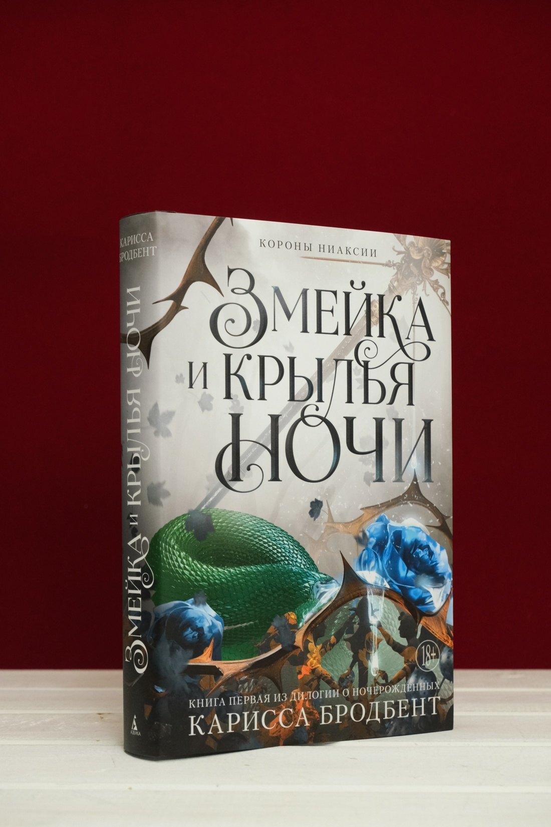 Изображение бумажной книги