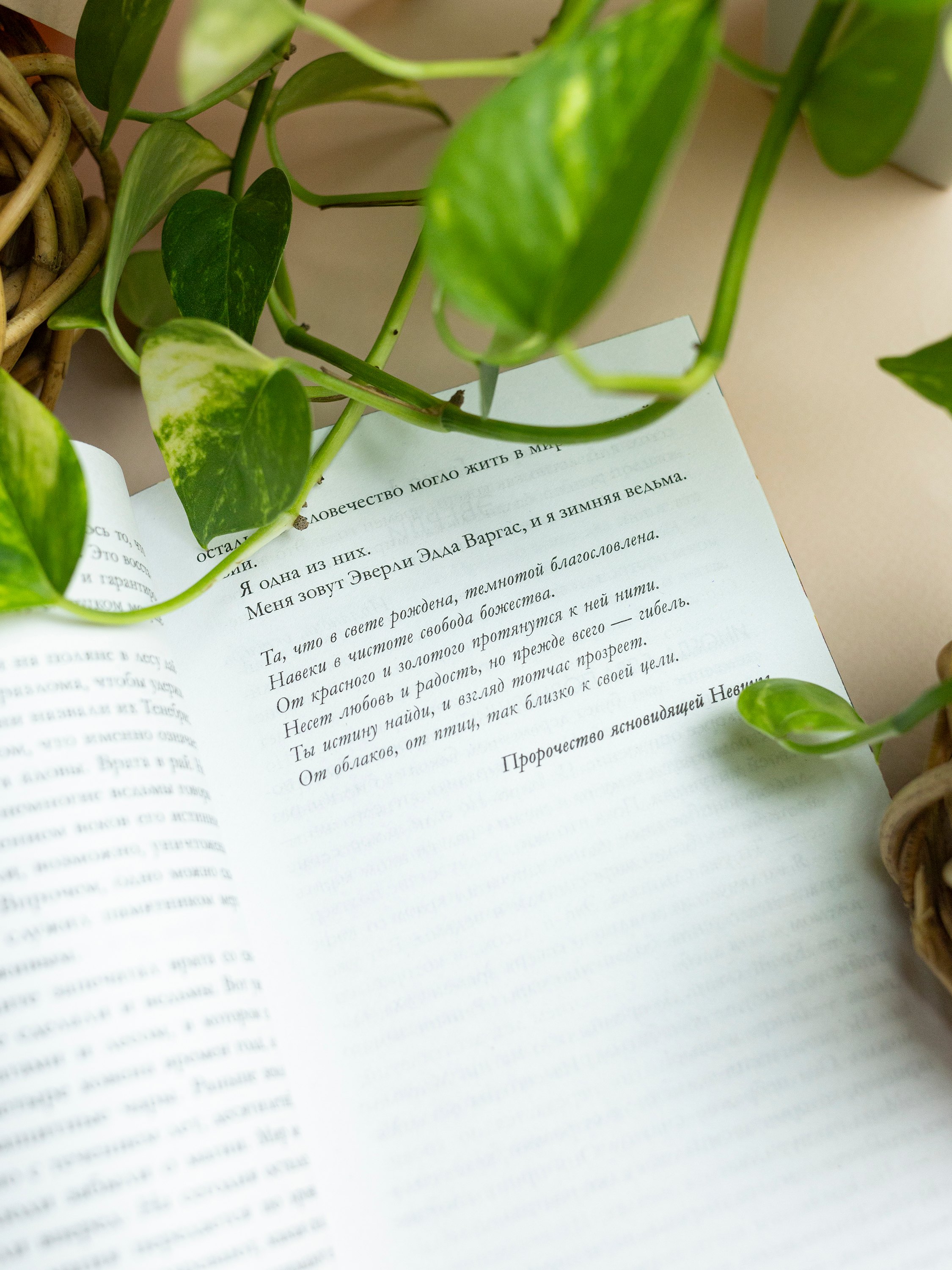 Изображение бумажной книги