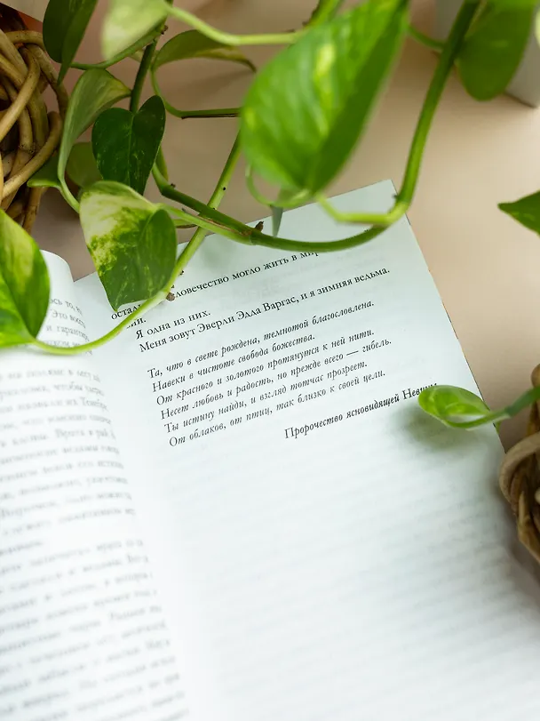 Книга Инфернас. Король пепла (Мелани Лейн) — 14