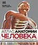Атлас анатомии человека (DK). Подробное иллюстрированное руководство — 2936972 — 1