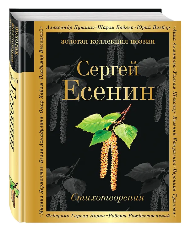 Книга Стихотворения (Сергей Есенин) — 4