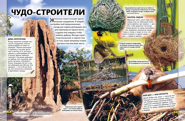 Книга Животные. Книга юного эрудита (Стив Паркер, Джон Фарндон, Камилла де ла Бедуайер) — 8