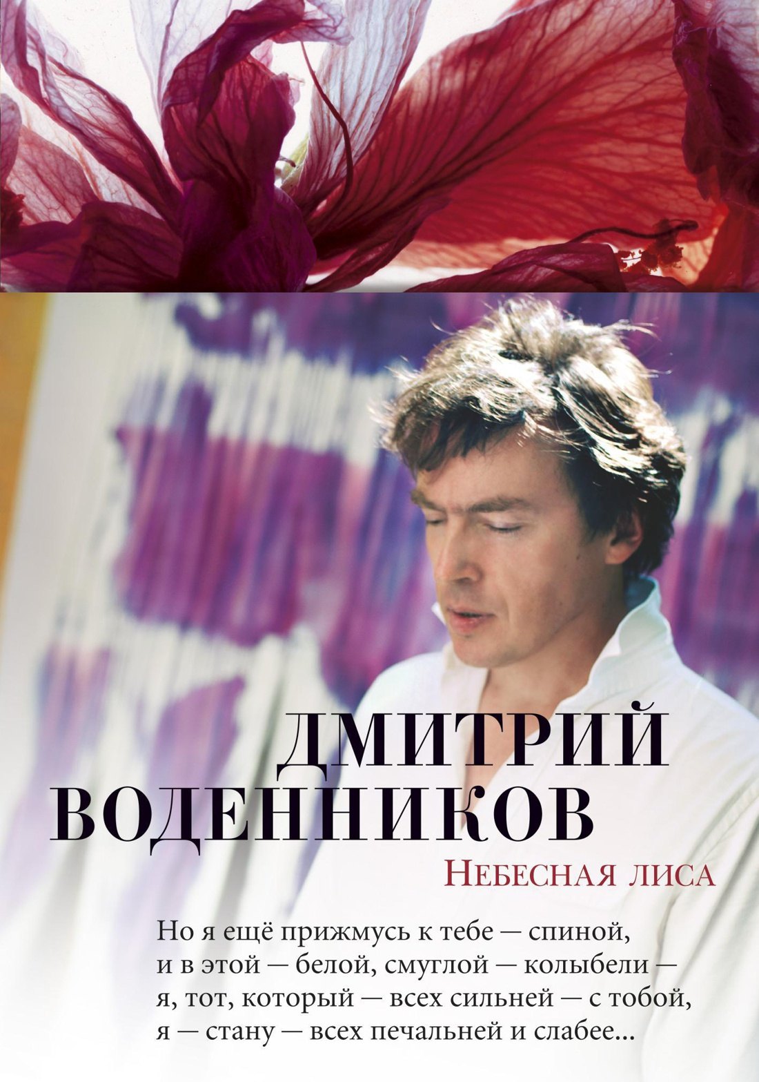 

Небесная лиса