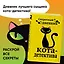 Секретный дневник кота-детектива — 2775063 — 1