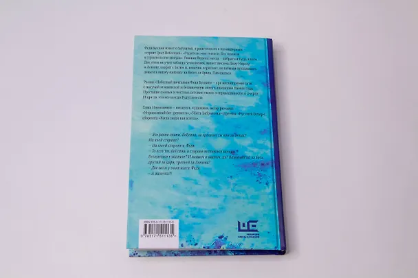 Книга Небесный почтальон Федя Булкин (Александра Николаенко) — 13