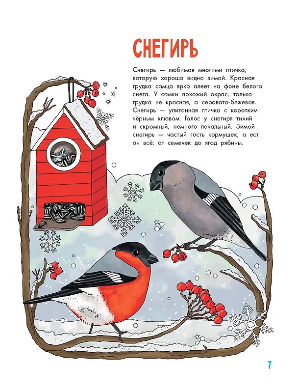 Книга Птицы (Эмма Янссон) — 12