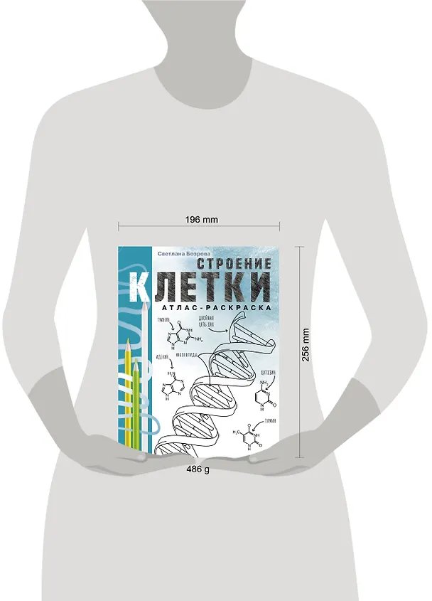 Книга Строение клетки. Атлас-раскраска (Светлана Бозрова) — 8