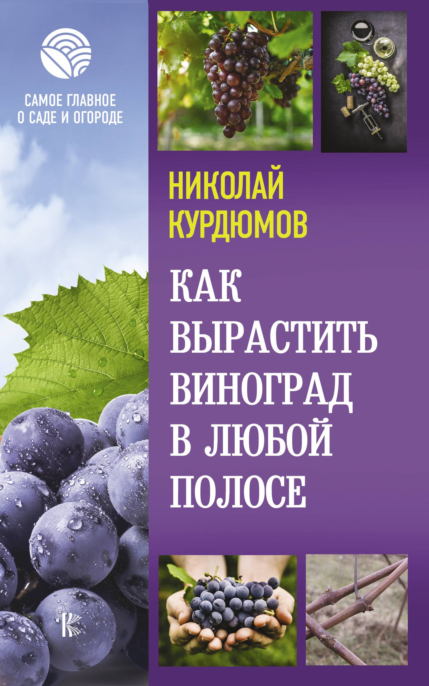 

Как вырастить виноград в любой полосе