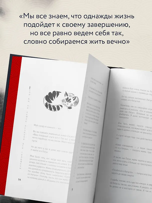 Книга Если все кошки в мире исчезнут. Эксклюзивное издание с цветными иллюстрациями (имитация шнуровки, печать по обрезу) (Гэнки Кавамура) — 9