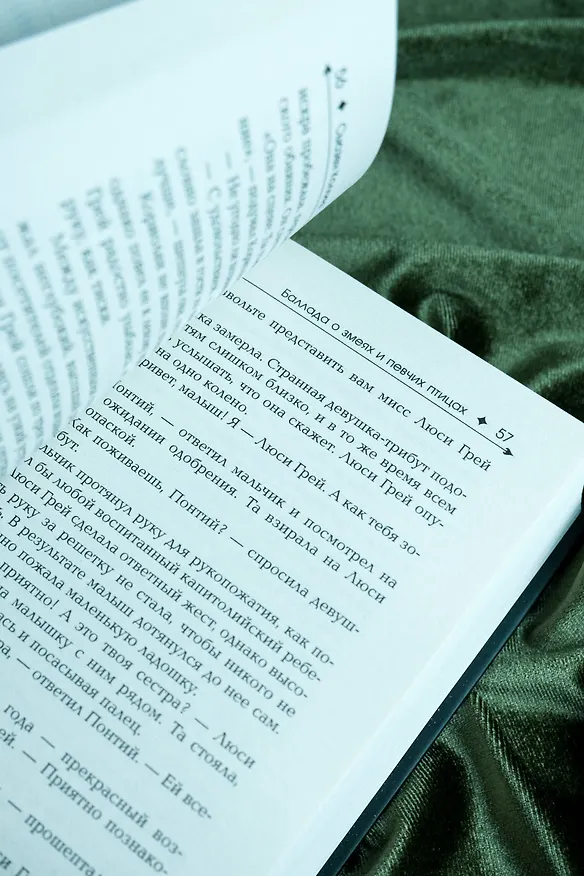 Книга Баллада о змеях и певчих птицах (Сьюзен Коллинз) — 11