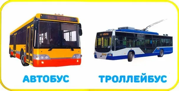 Книга Транспорт () — 2
