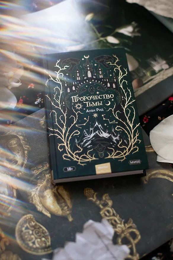 Книга Пророчество тьмы (Анви Рид) — 8