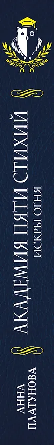 Книга Академия Пяти Стихий. Искры огня (Анна Платунова) — 3