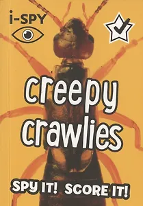 i-SPY Creepy crawlies: What can you spot?