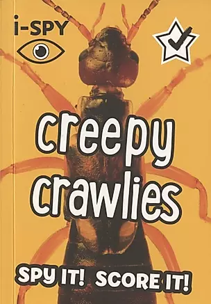 i-SPY Creepy crawlies: What can you spot? — 2673016 — 1