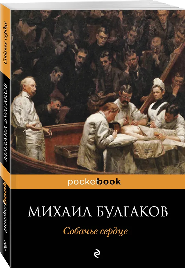 Книга Собачье сердце (Михаил Булгаков) — 4