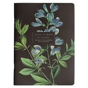 Тетрадь в клетку Be Smart, "Flora. Баптизия", А4, 40 листов 3032065