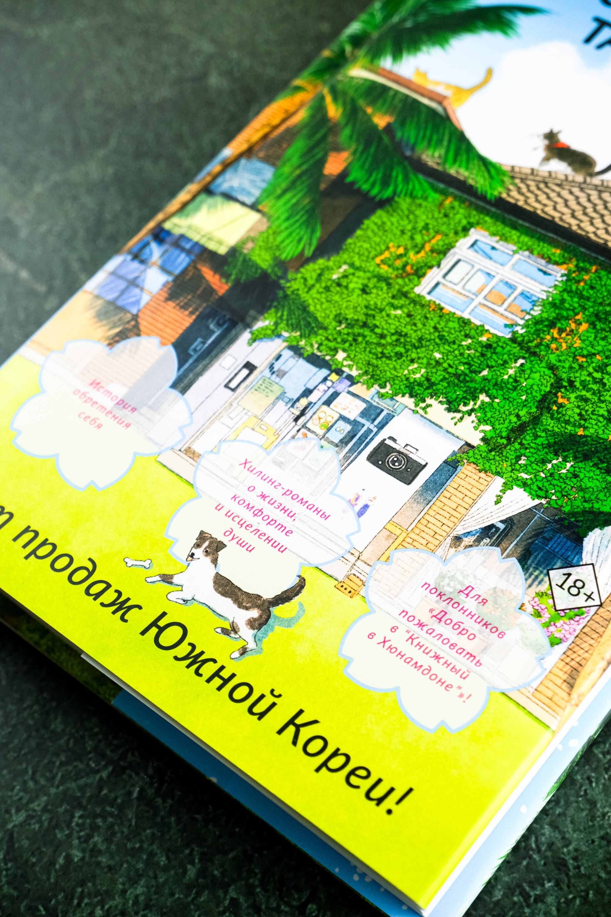 Изображение бумажной книги