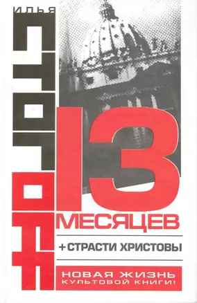 13 месяцев — 2226735 — 1