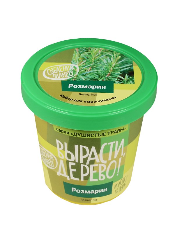 Набор для опытов и экспериментов Набор Вырасти дерево! Розмарин zk-036 2520599 — 1