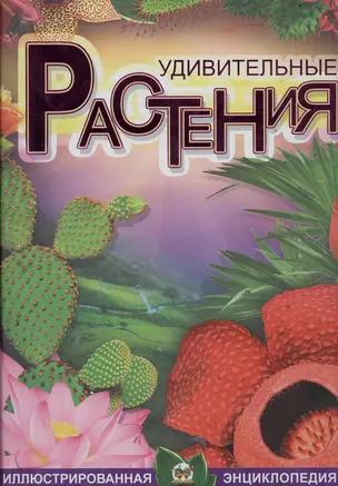 Удивительные растения — 2366964 — 1