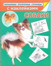 Собаки