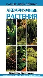 Самые популярные аквариумные рыбки