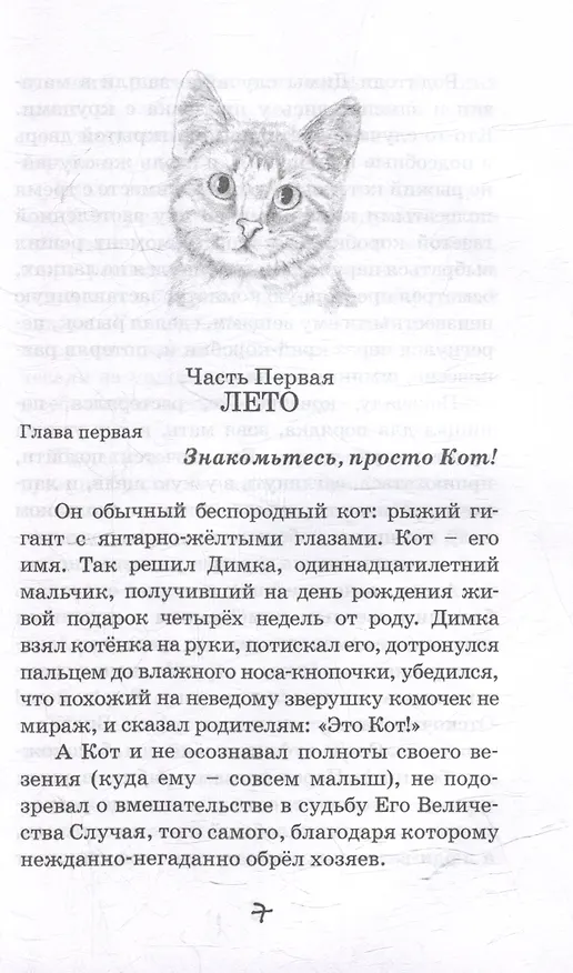 Книга Кот (Юрий Ситников) — 3