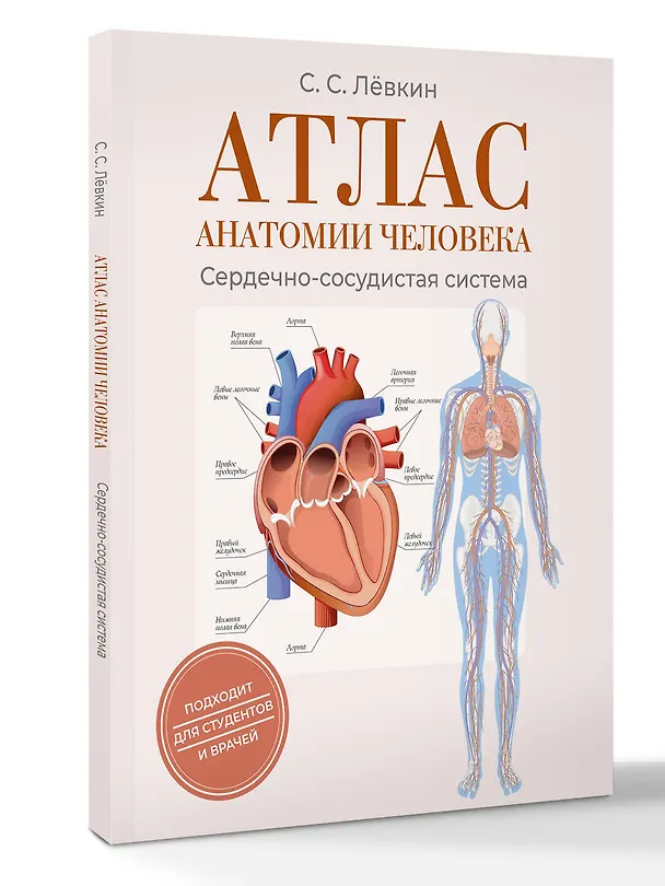 Книга Атлас анатомии человека. Сердечно-сосудистая система (Сергей Лёвкин) — 4