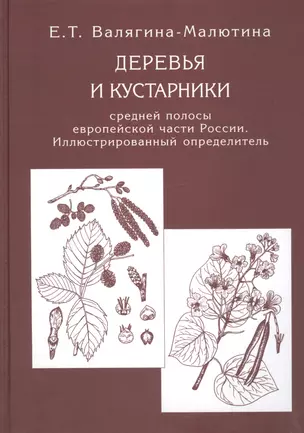 Деревья и кустарники средней полосы европейской части России: Иллюстрированный определитель — 2705059 — 1