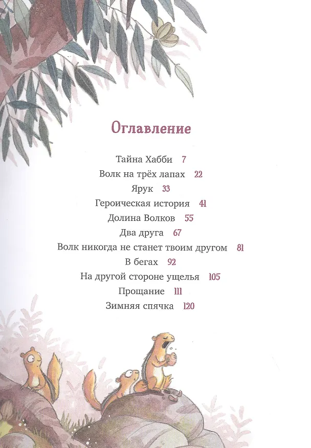 Книга Друг, непохожий на других (Оливер Шерц) — 5