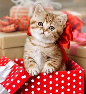 Алмазная мозаика. Блестящая, с подрамником, с полным заполнением. 15 цветов "Маленький пушистый подарок" 2929454