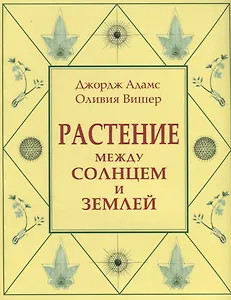 Растение между солнцем и землей