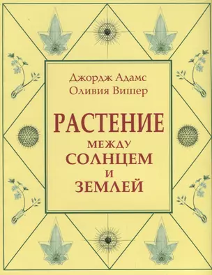 Растение между солнцем и землей — 2694155 — 1