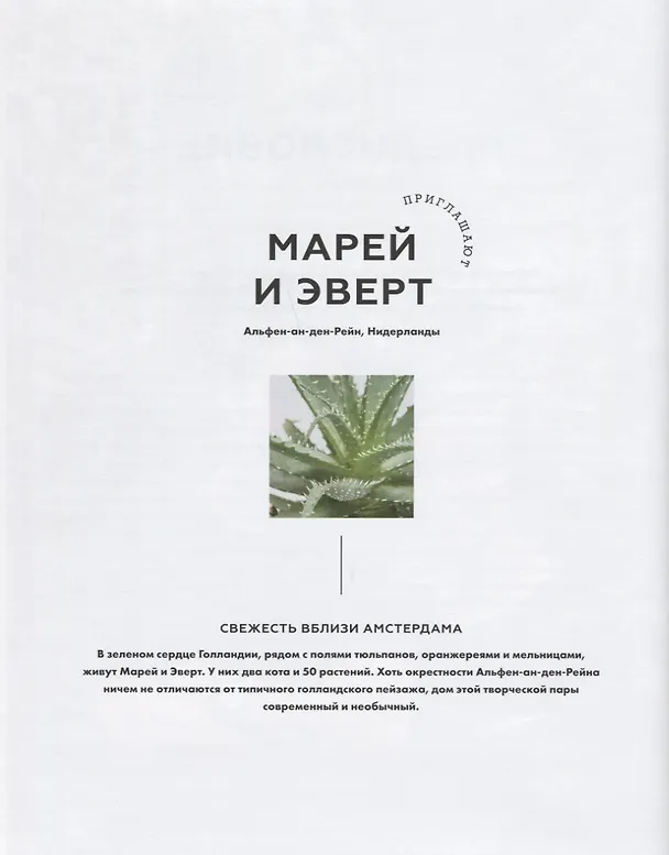 Книга Urban Jungle. Как создать уютный интерьер с помощью растений (Игорь Йосифович, Джудит де Граф) — 5