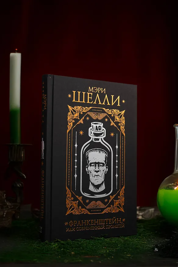 Книга Франкенштейн, или современный Прометей (Мэри Шелли) — 13