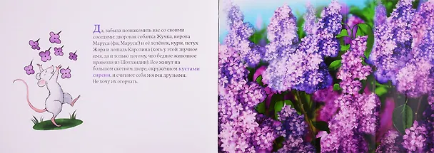 Книга Дневник кошки Баси (Настя Ланда) — 3