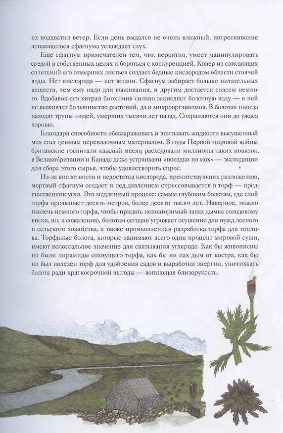 Книга Вокруг света за 80 растений (Джонатан Дрори) — 12