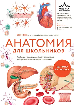 Книга Анатомия для школьников. Пособие для учеников химико-биологических классов и абитуриентов естественно-научных направлений (Илья Егоров)