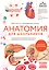 Анатомия для школьников. Пособие для учеников химико-биологических классов и абитуриентов естественно-научных направлений — 3140250 — 1