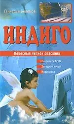 Книга Индиго. Небесный легион спасения () — 1