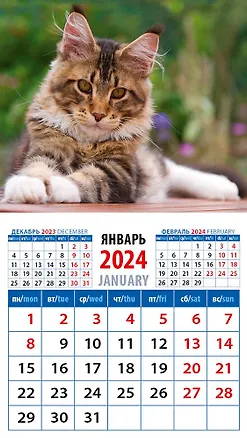 Календарь 2024г 94*167 "Котенок мейн кун" на магните 2998332