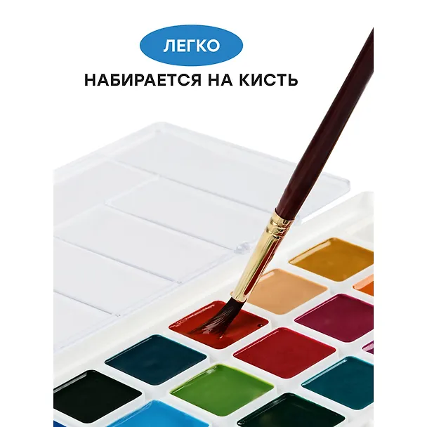 Акварель «Медовая», «Гамма», 24 цвета 247993 — 4