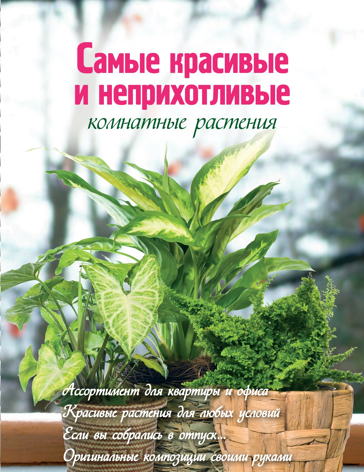 

Самые красивые и неприхотливые комнатные растения
