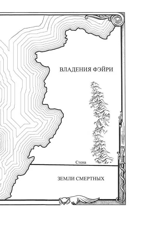 Книга Королевство гнева и тумана (Сара Маас) — 14