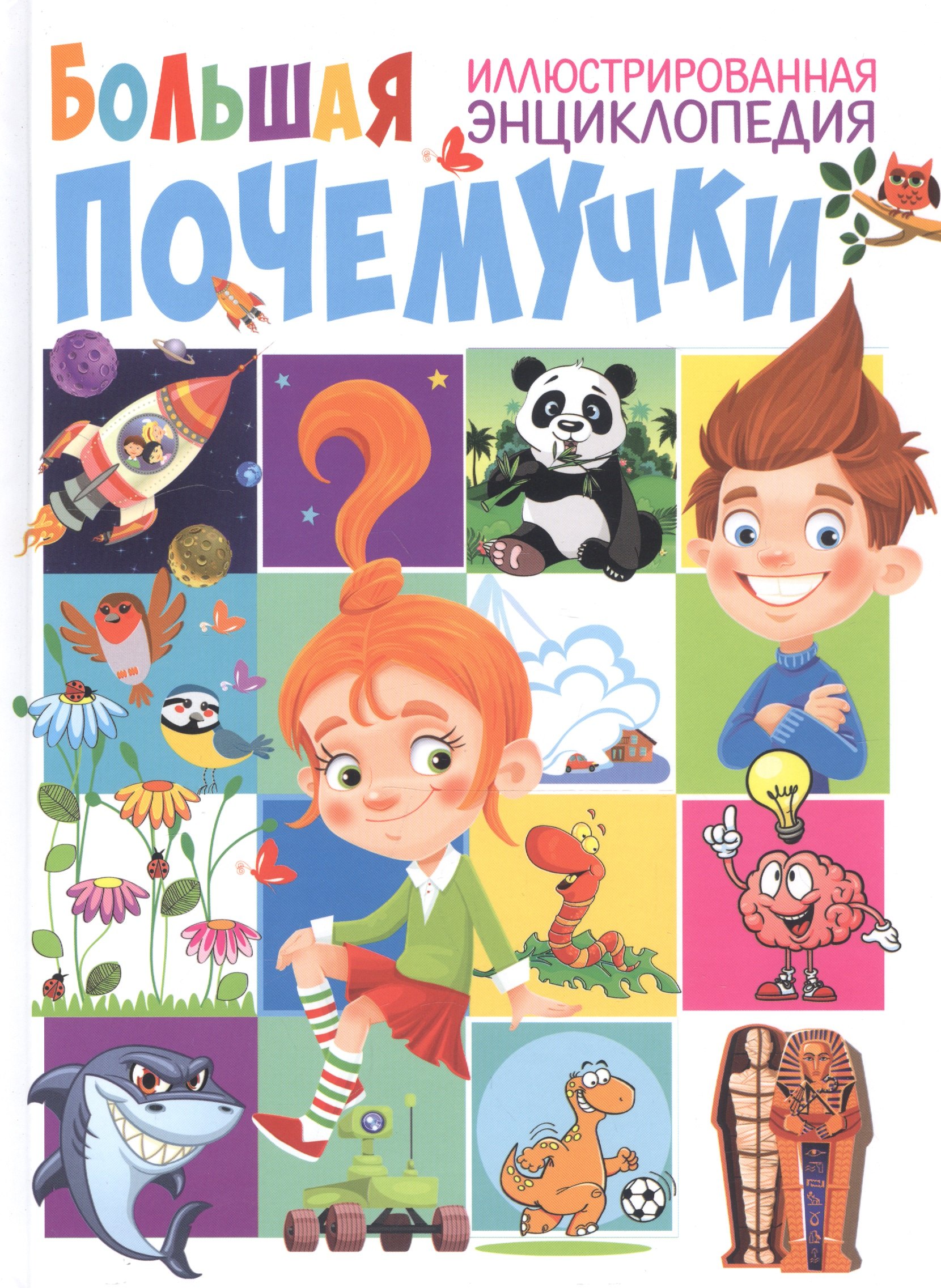 

Большая иллюстрированная энциклопедия почемучки