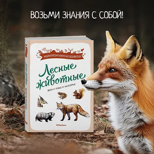 Книга Лесные животные (Ксавье Жапьо) — 5