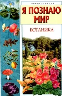 Ботаника: Энциклопедия — 1881926 — 1